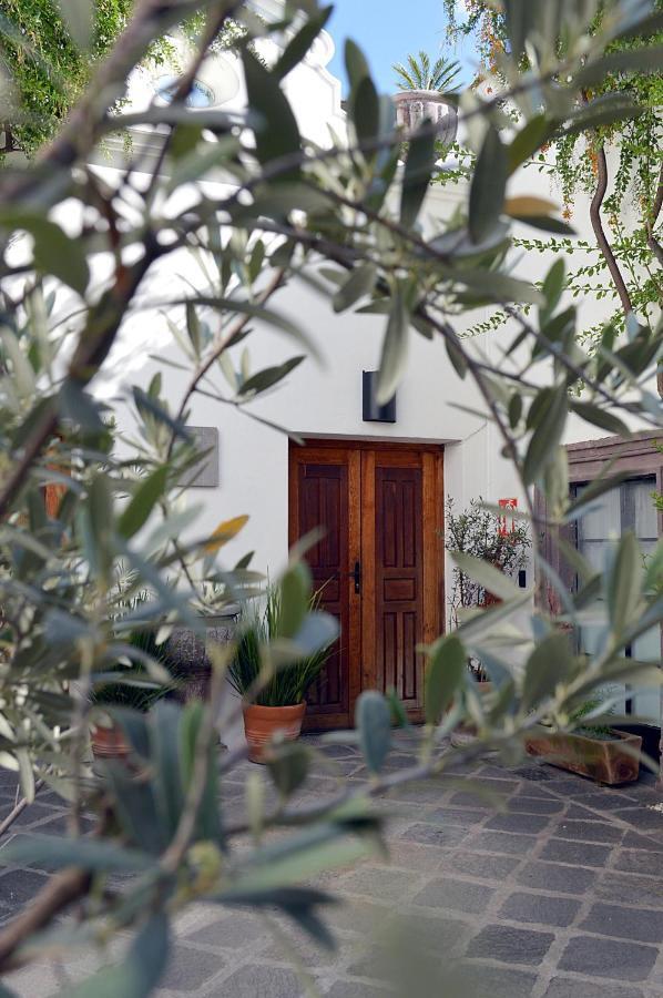 Casa De Los Olivos Альенде Экстерьер фото